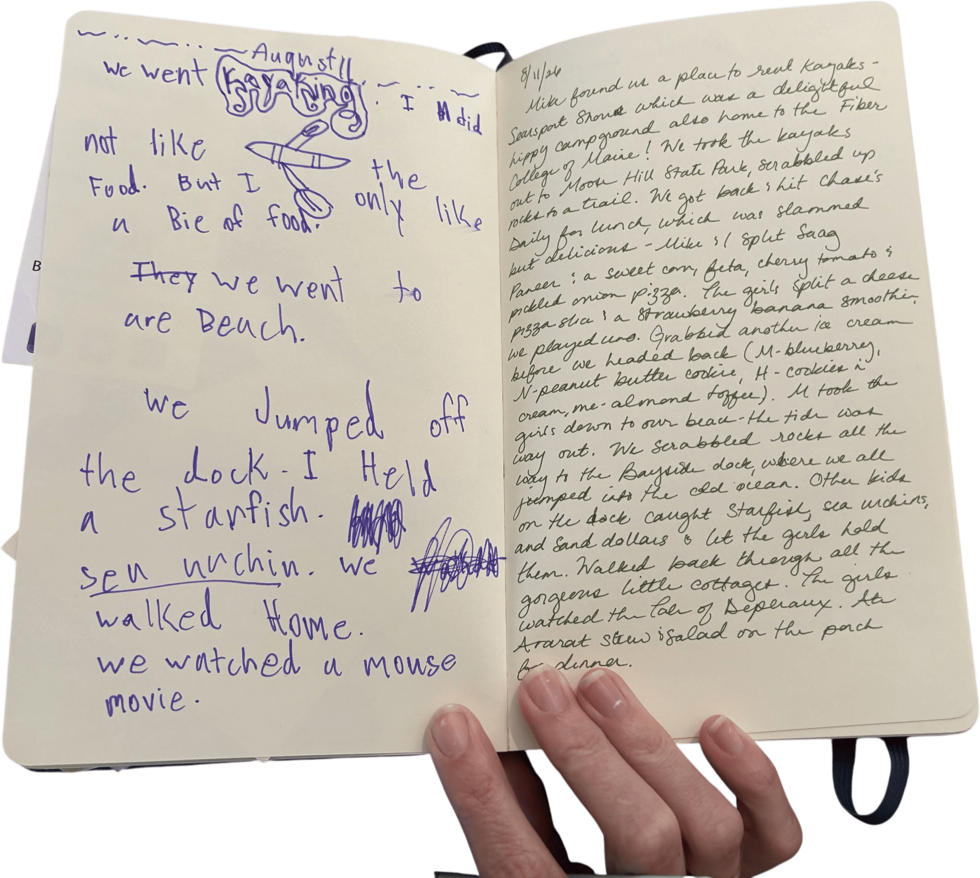 the vacation journal