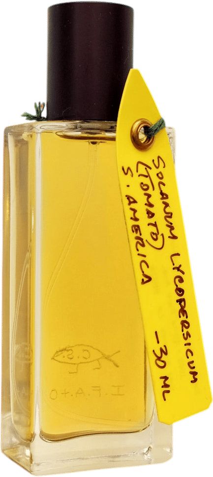 Solanum Lycopersicum Perfume