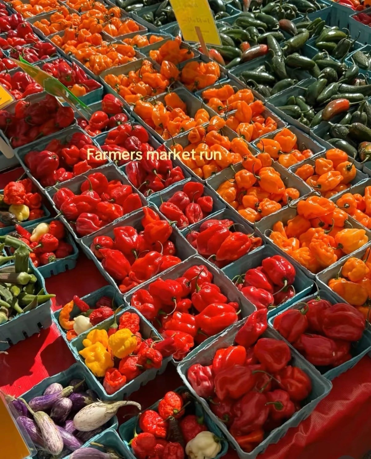 South Pearl St Farmers Market