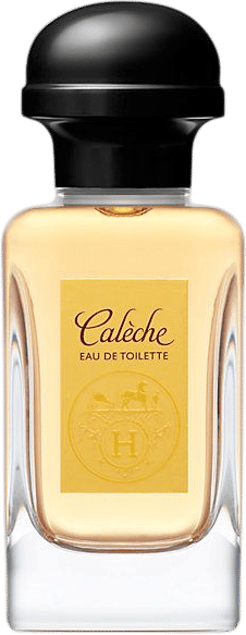 Hermès Calèche