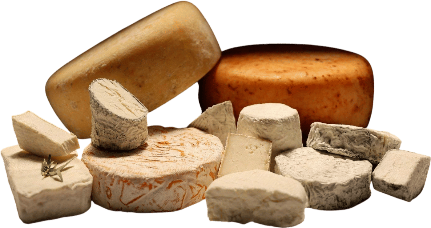 Andante Dairy Petaluma