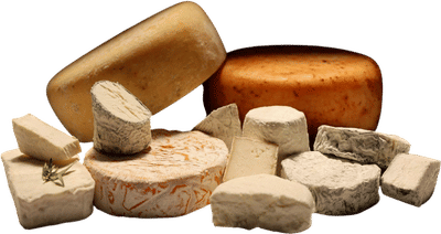 Andante Dairy