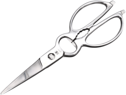 Kagayaki Kitchen Shears (KG-KS)