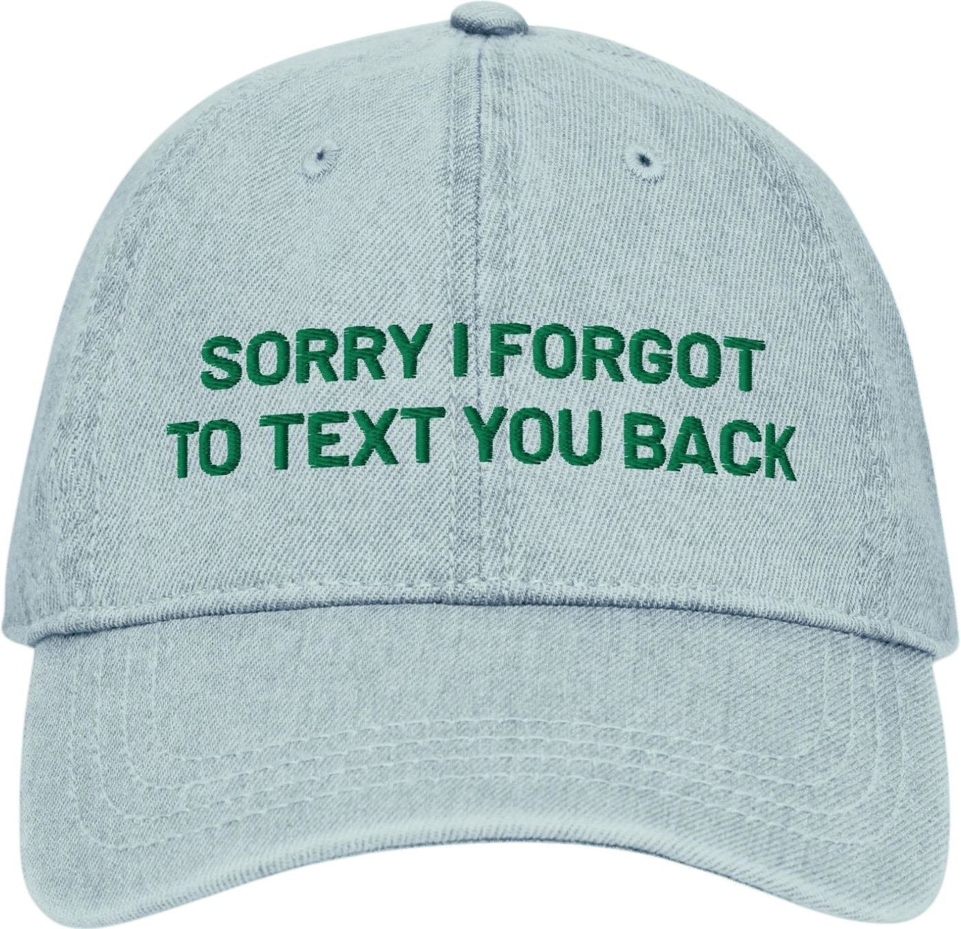 Sorry I Forgot To Text You Back Hat