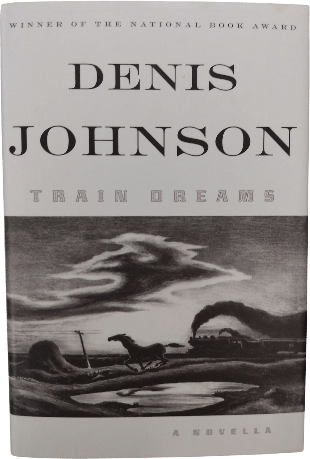 Train Dreams (Denis Johnson) (2002)
