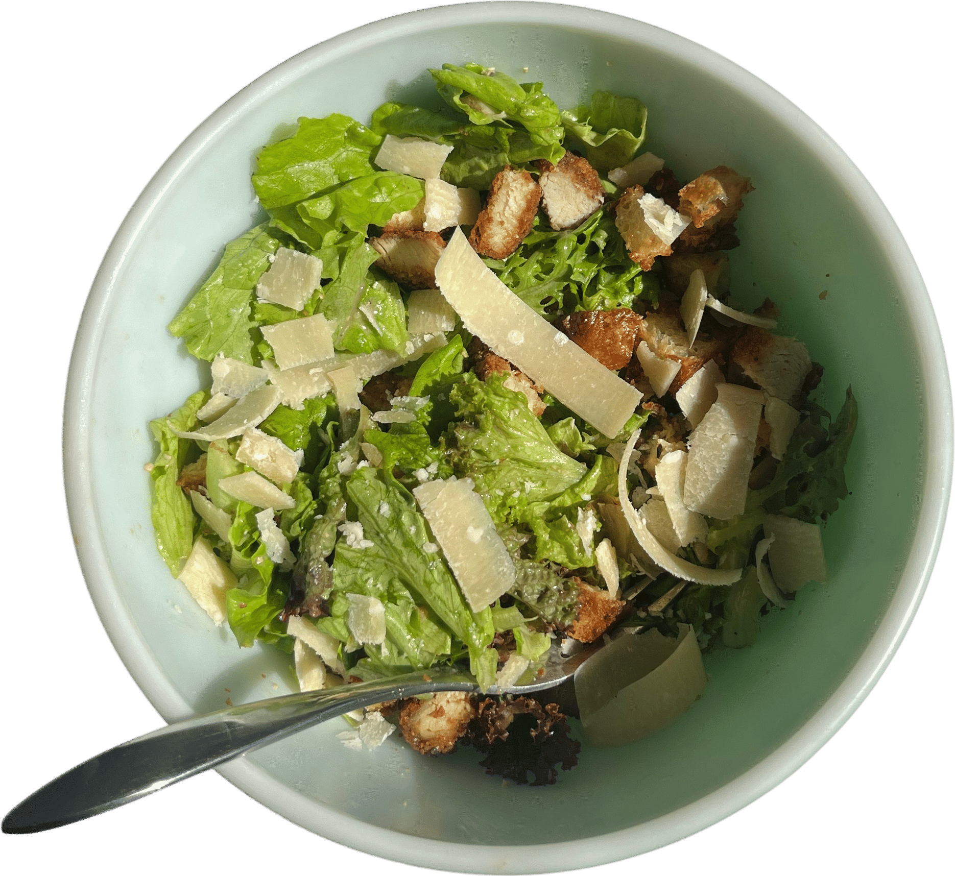 Big giant homemade chicken caesar