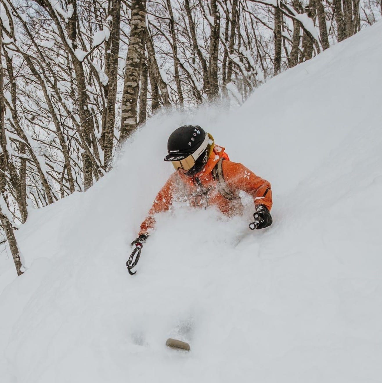 Skimo Hardgoods