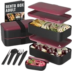a bento lunch box