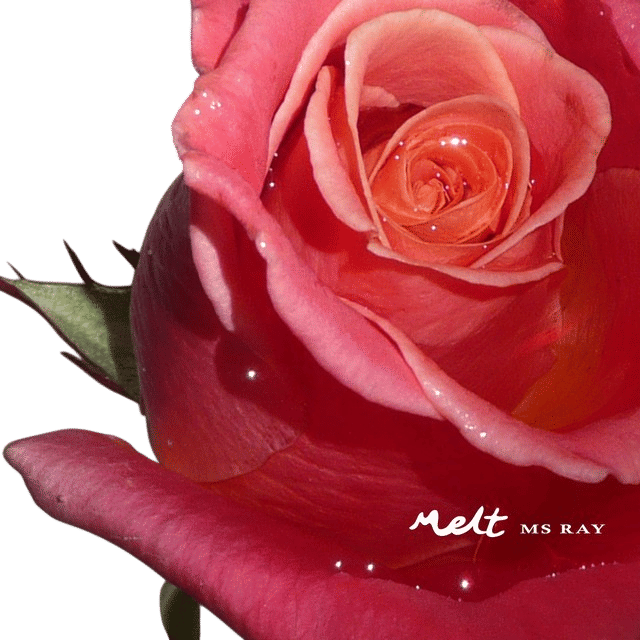 Ms Ray - Melt