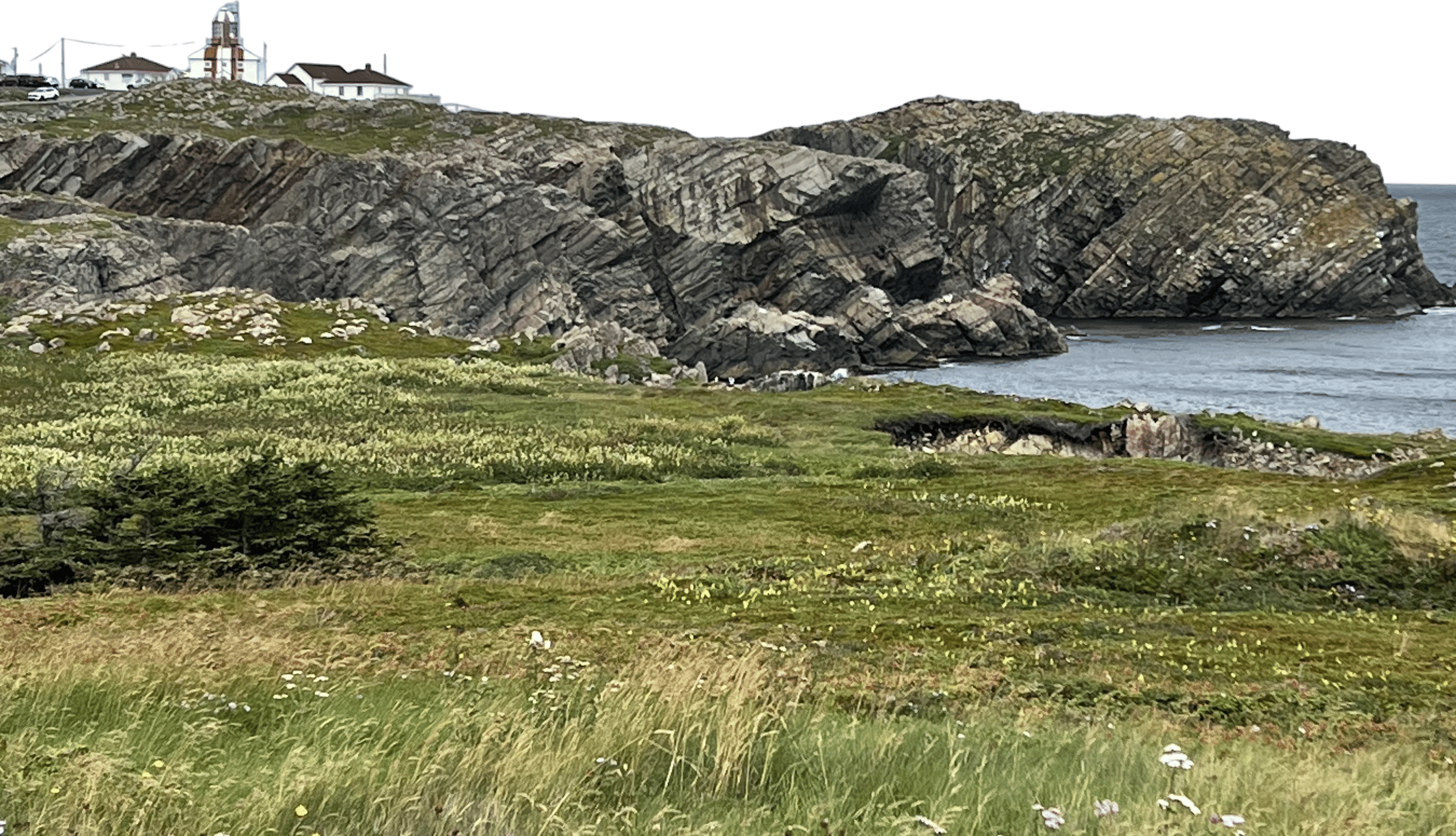 Newfoundland