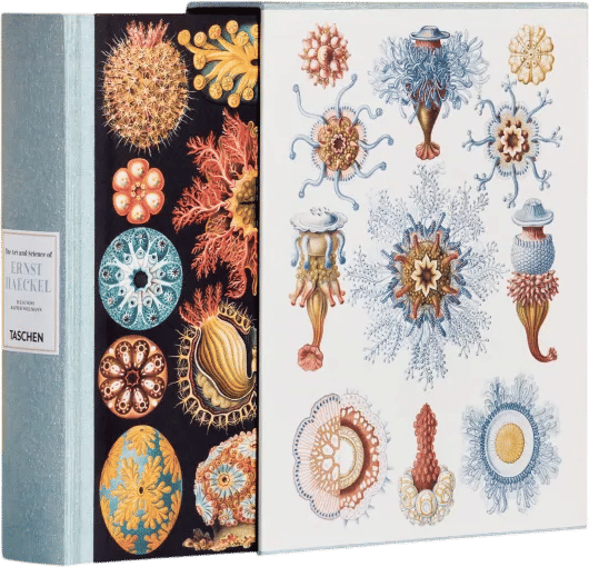 The Art and Science of Ernst Haeckel