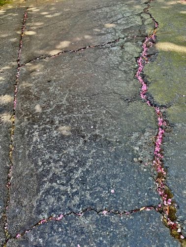 Wabi-Sabi