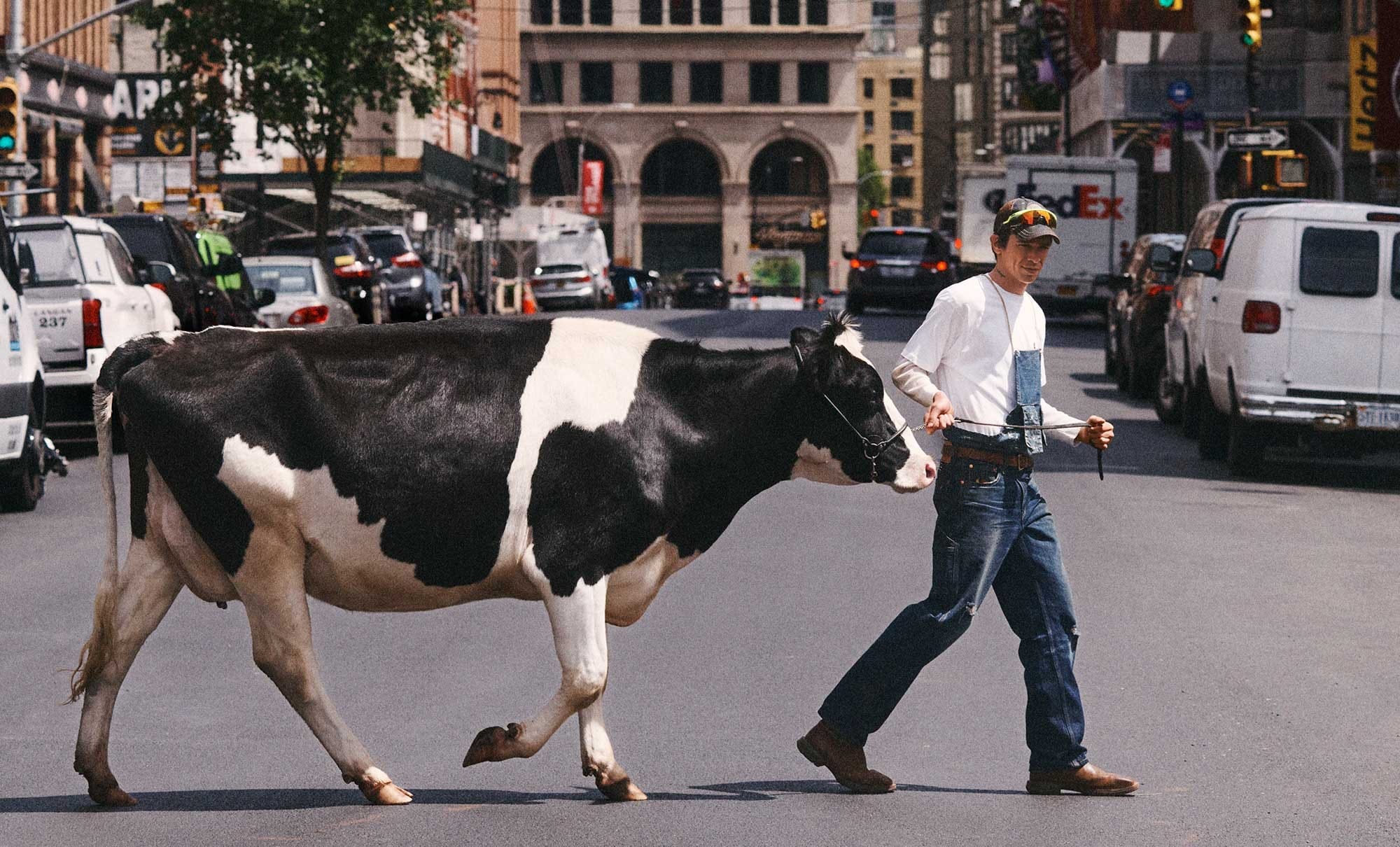 Levi's x Sky High Farms. A collaboration that makes sense.