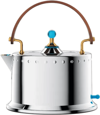 Bodum Ottoni Electric Water Kettle, 34 Oz. Stainless Steel & Reviews | Wayfair