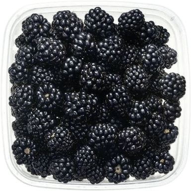 blackberries