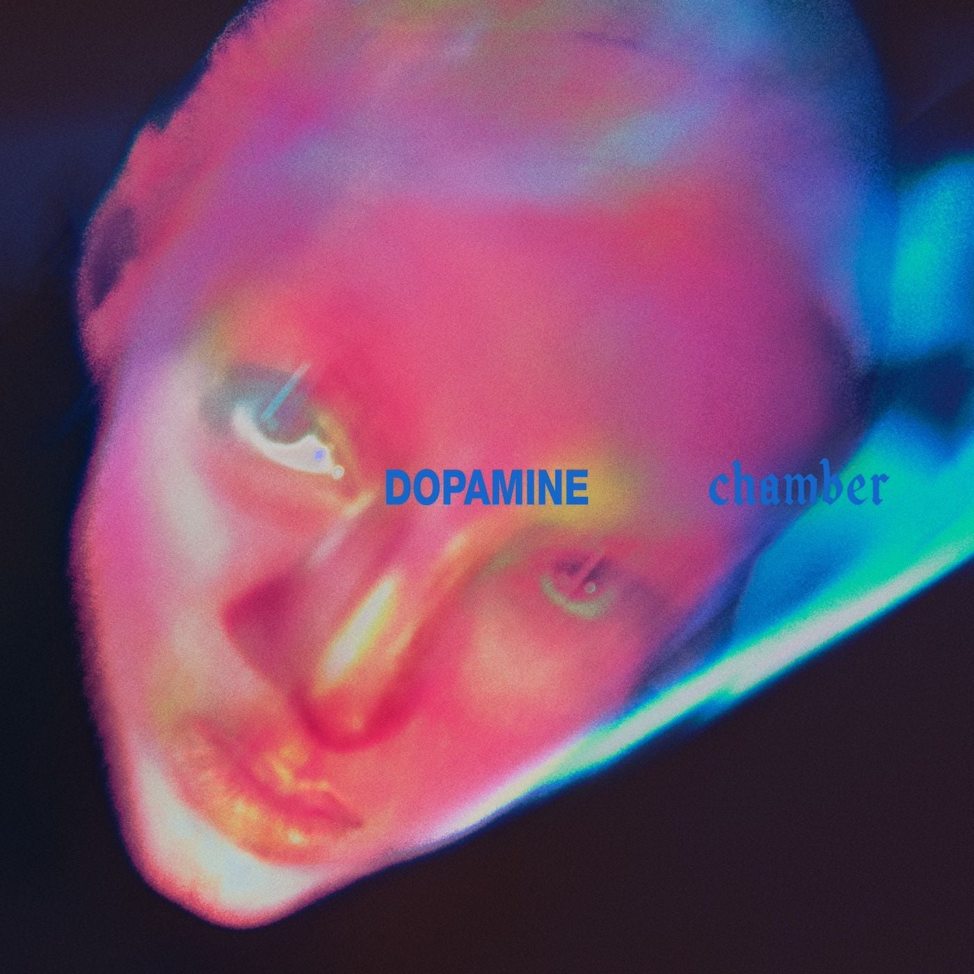 Fontaines DC’s Dopamine Chamber is so good