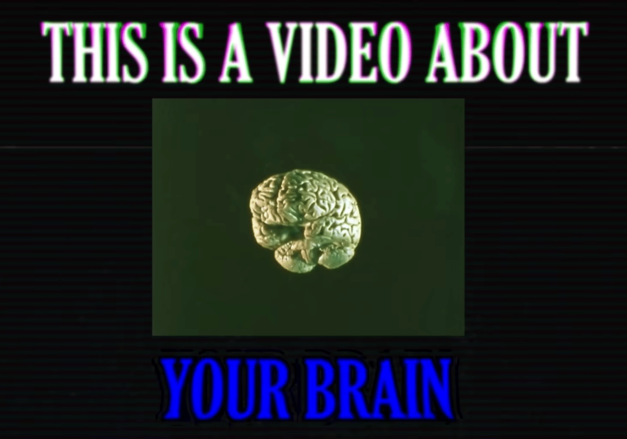 The Brainrot Apocalypse (a DIY survival guide) by struthless