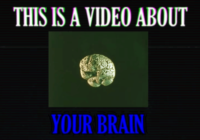 The Brainrot Apocalypse (a DIY survival guide)