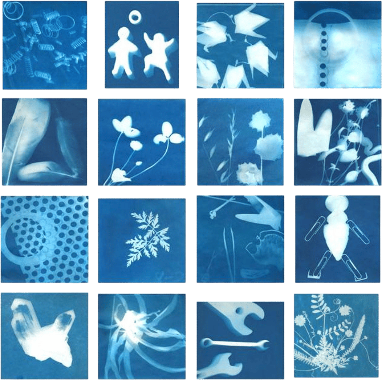 DIY Sun Print Kit (Cyanotypes)