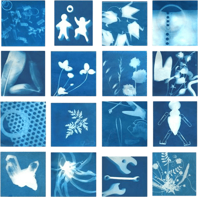 DIY Sun Print Kit (Cyanotypes)
