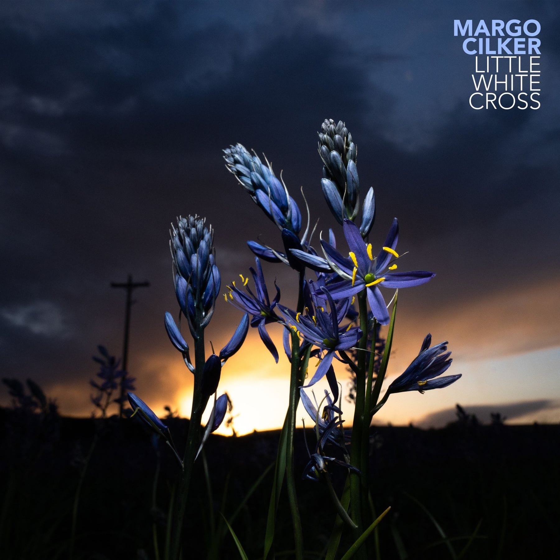 Margo Cilker
