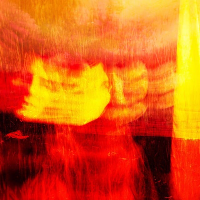 Rainbow City Park - Fruitless