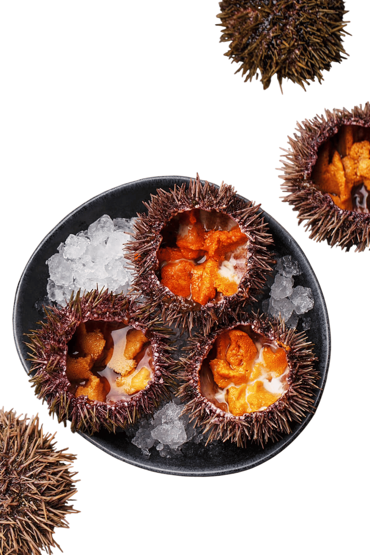 Uni