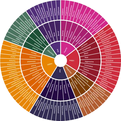 Feelings Wheel