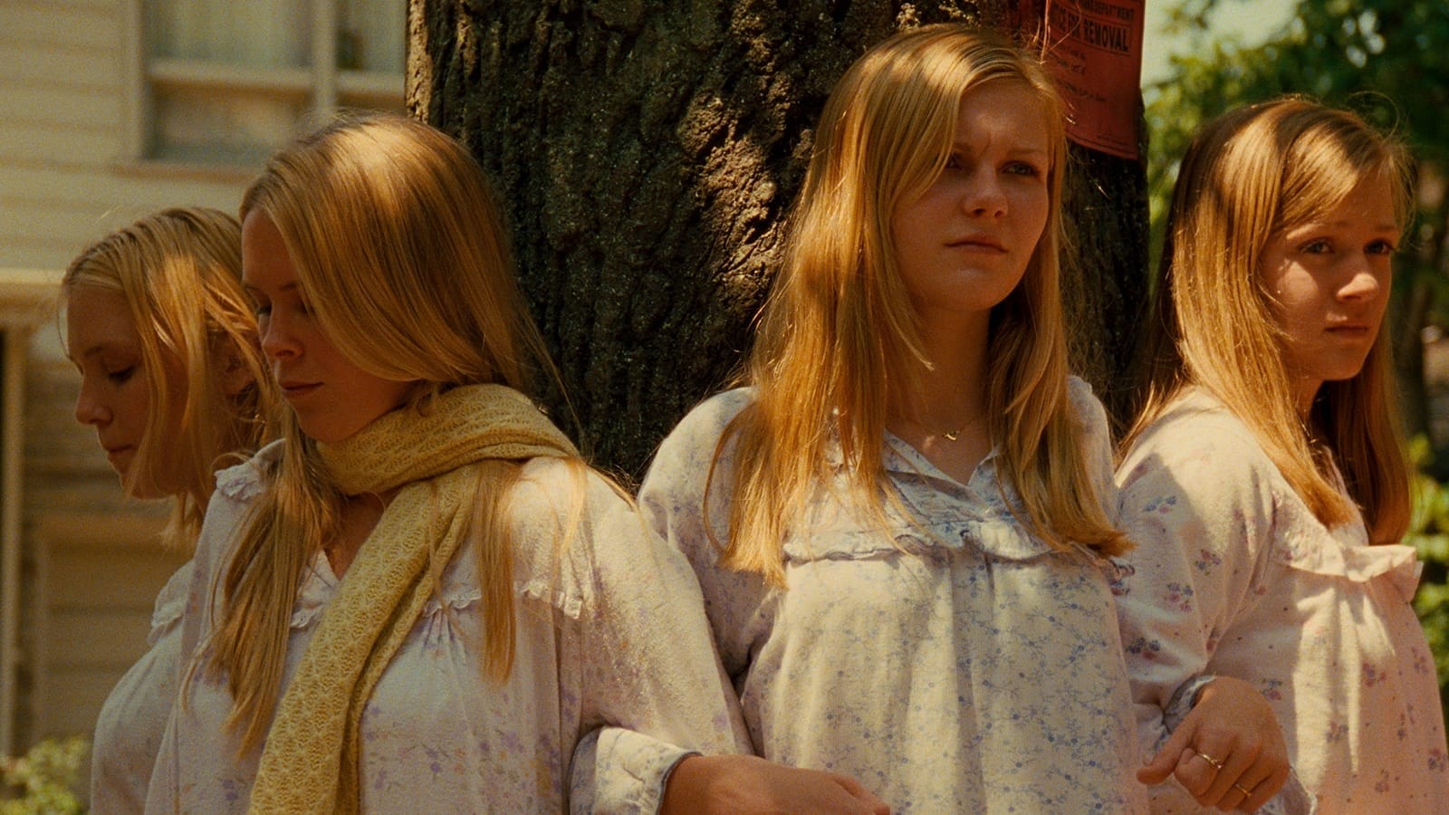 Virgin Suicides