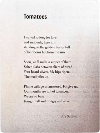 poems about tomatoes
