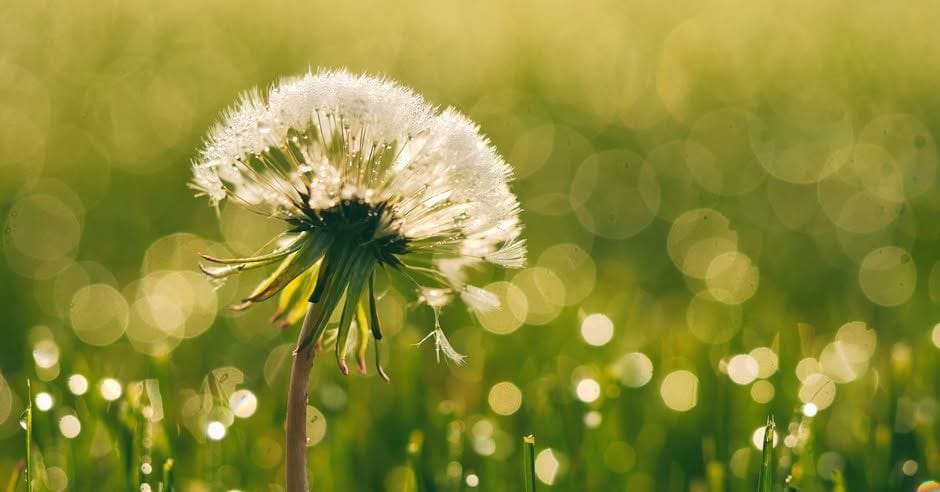 Taking Loving Care of Yourself No Matter What