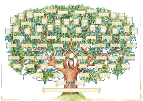 making a family tree just to appreciate all your grandparent’s names