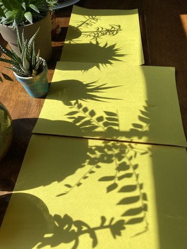 Drawing Shadows of Things