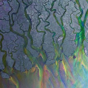 An Awesome Wave | Alt-J