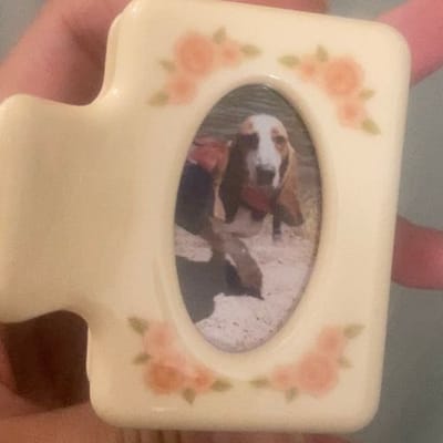 Chunks Hair Clips