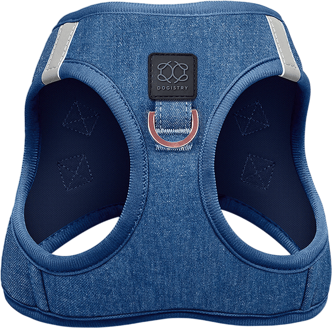 Dogistry denim harness