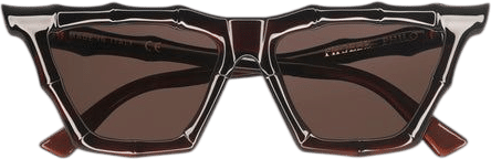 Bamboo Sunglasses