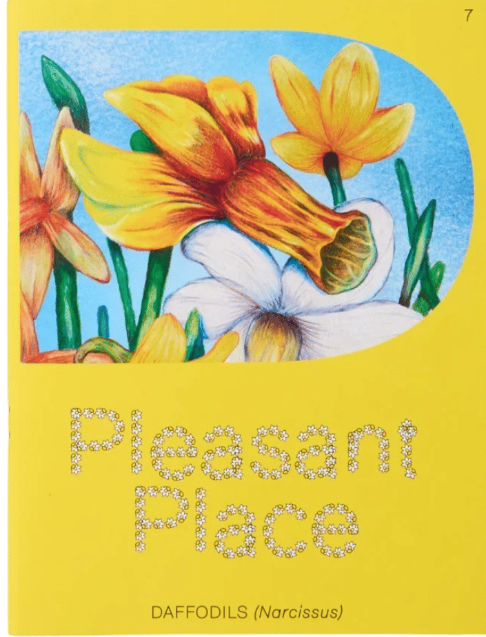 Pleasant Place Magazines