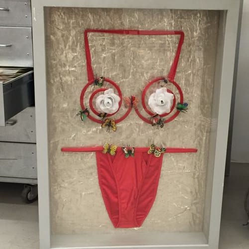 The Secret Life of Syrian Lingerie