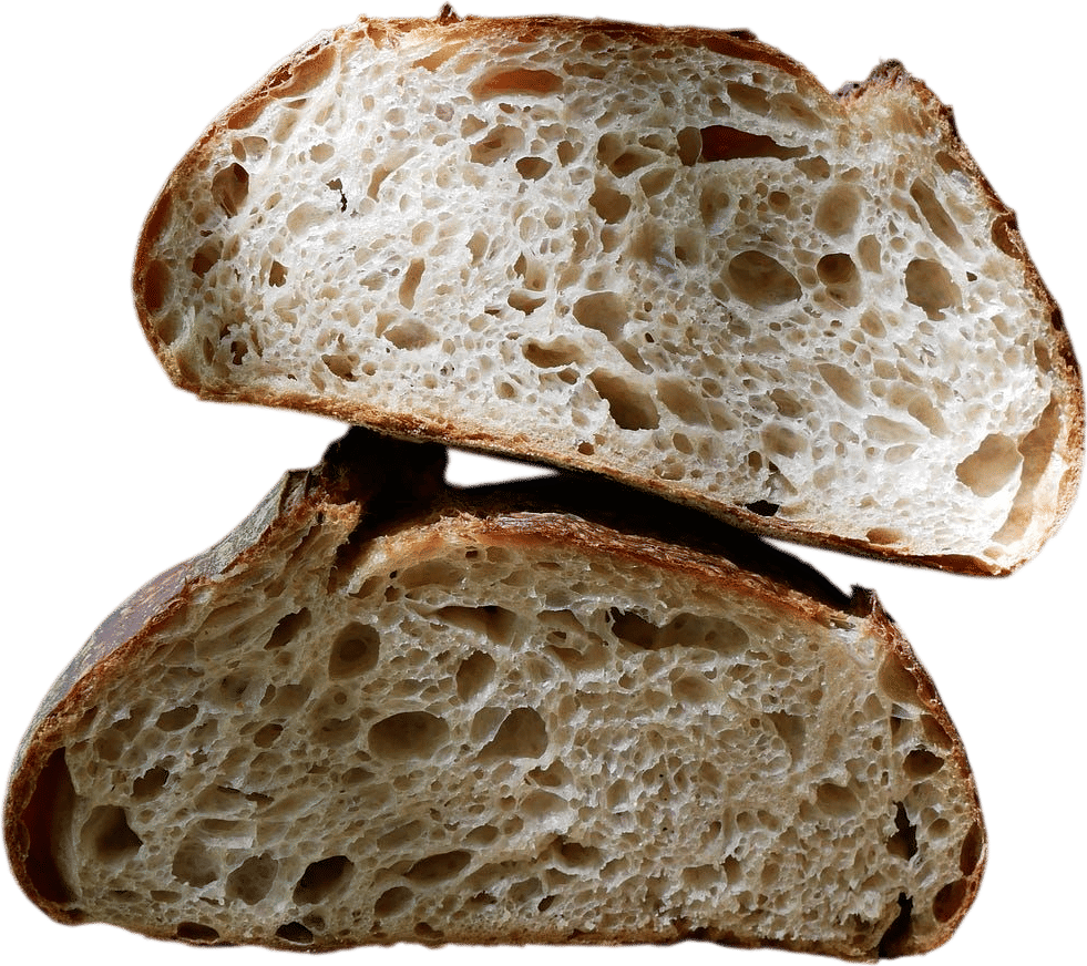 Same Day Sourdough Bread