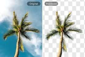 Auto Background Removal 