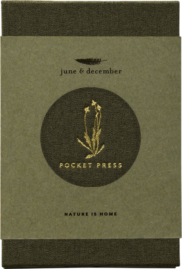Pressing Flowers from the garden