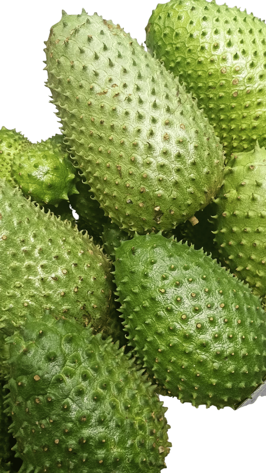 Guanabana