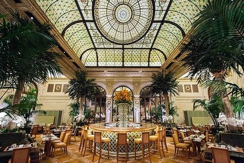 The Palm Court
