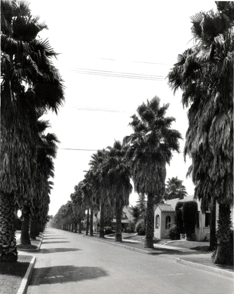 Piety and Perversity: The Palms of Los Angeles