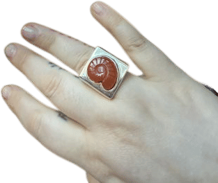 Nomia Carved Nautilus Stone Silver Ring - Red Onyx