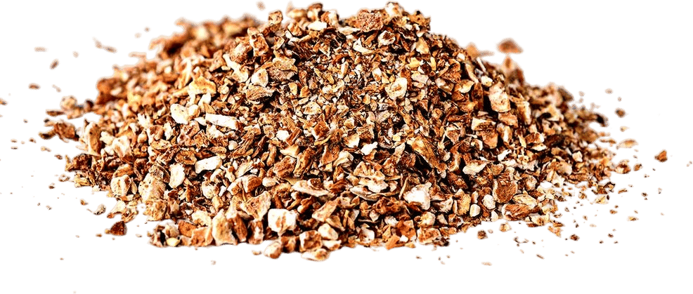 Dandelion Root