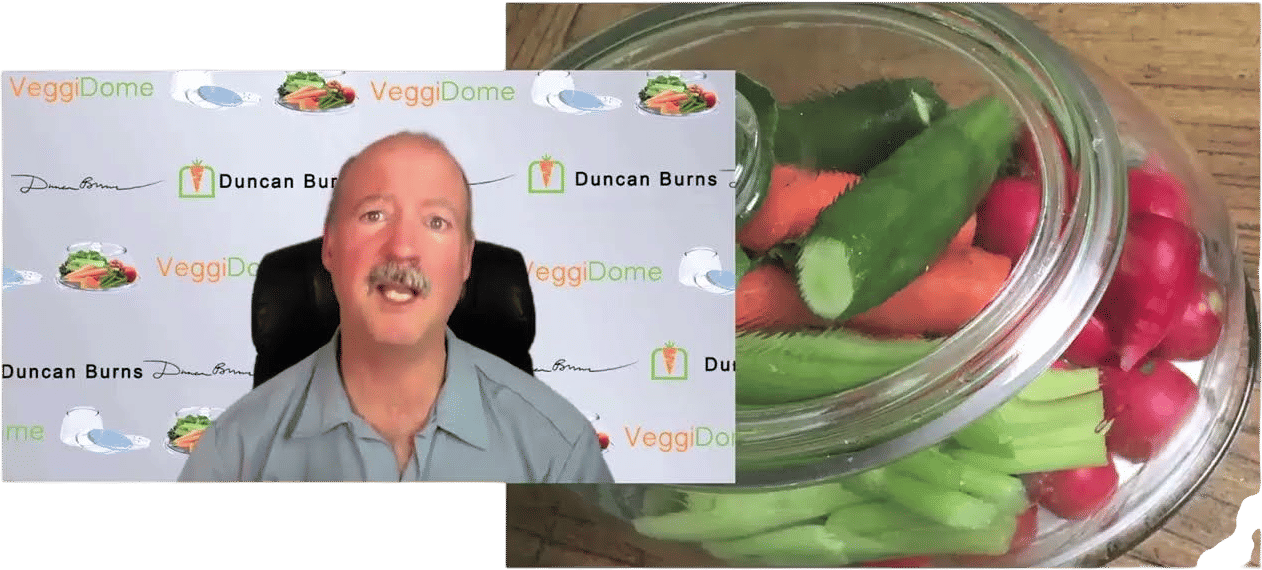 The Veggidome Informercial pt. 2