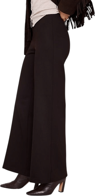 Banana Republic Everywhere Ponte Pants