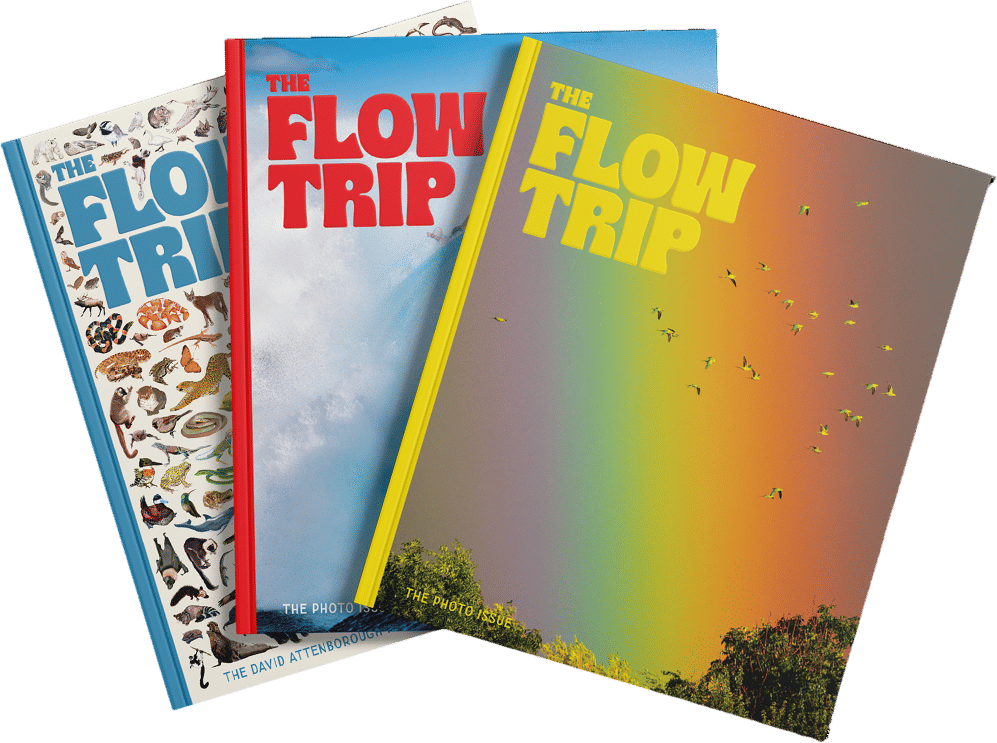 The Flow Trip